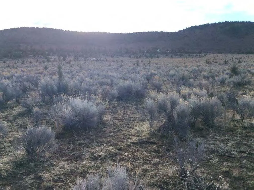 Ponderosa solar project, Crook County, Oregon
